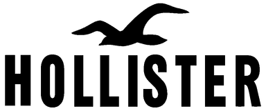 Hollister logo